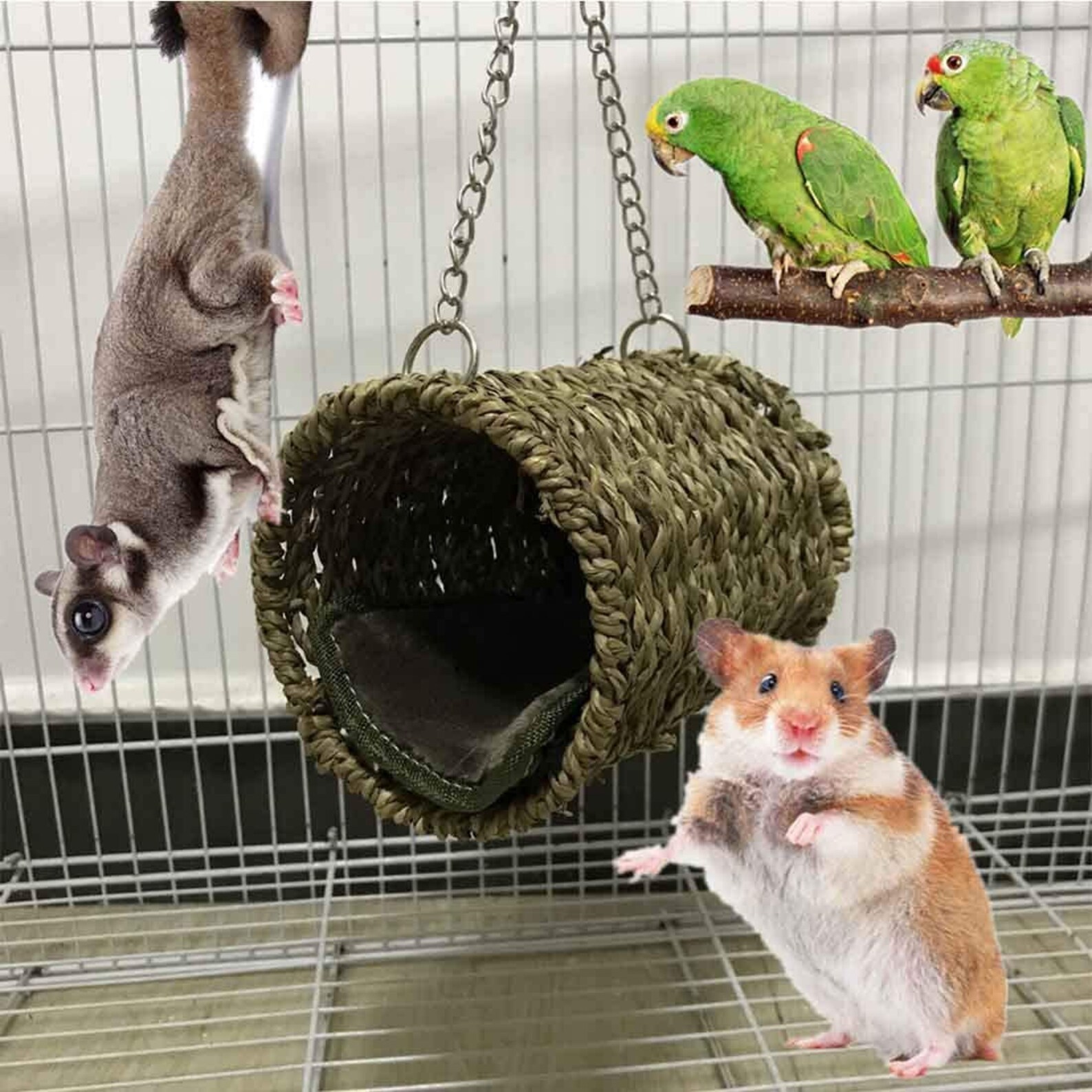 6 pack Natural Wooden Rat Chew Toys Guinea Pig Toys Hamster Etsy