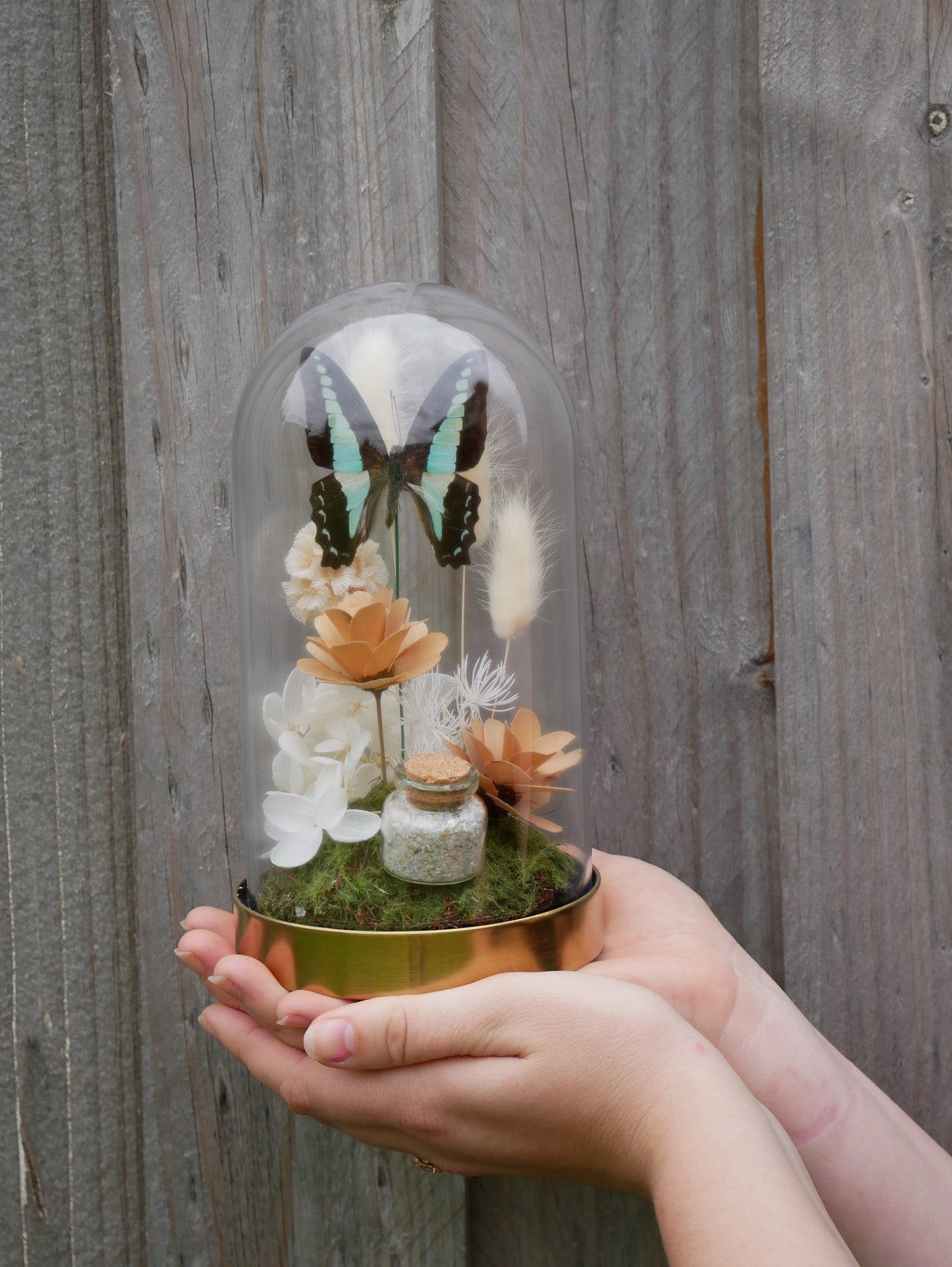 Butterfly and dried flower cloche Etsy