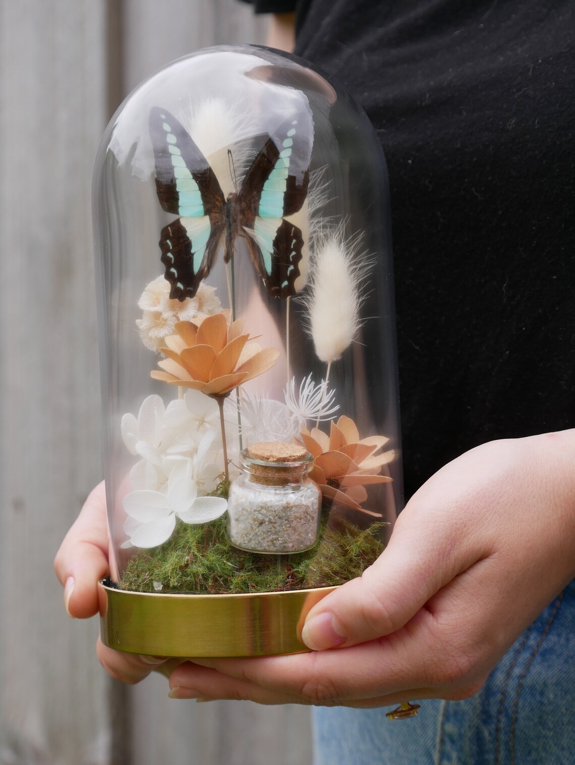 Butterfly and dried flower cloche Etsy