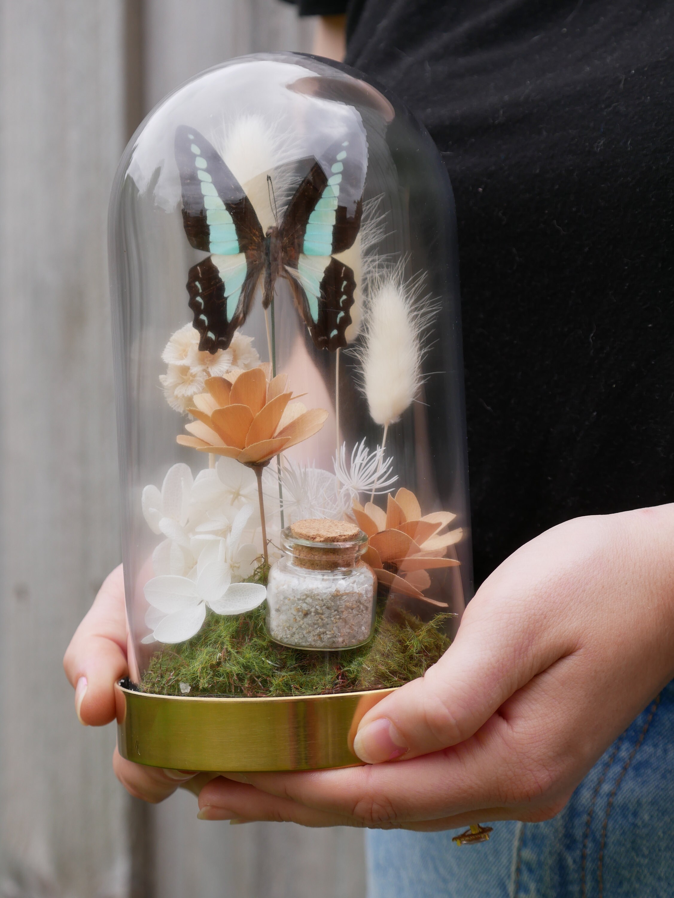 Butterfly and dried flower cloche Etsy