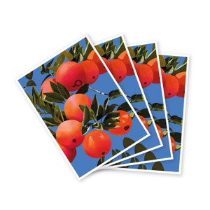 Cartoline Citrus Sinensis (arance) (set di 4)
