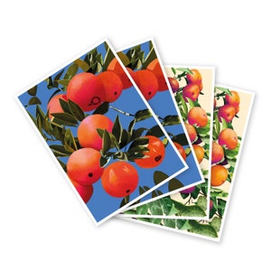 Cartes postales Citrus mix (set de 2x2)