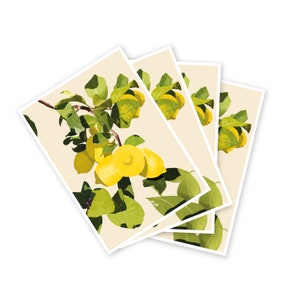 Cartoline Citrus Limon (limoni) (set di 4)