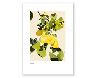 Print Lemons {illustration | wall art | citrus | botanical | fruit}