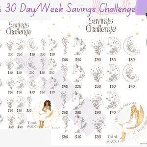 Low income savings savings savings savings challenge printable savings challenge bundle 30 day saving savings challenge cash envelopes