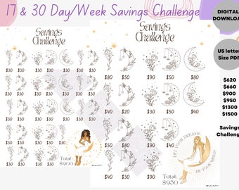 Low income savings savings savings savings challenge printable savings challenge bundle 30 day saving savings challenge cash envelopes