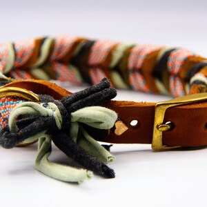 Orange dog collar