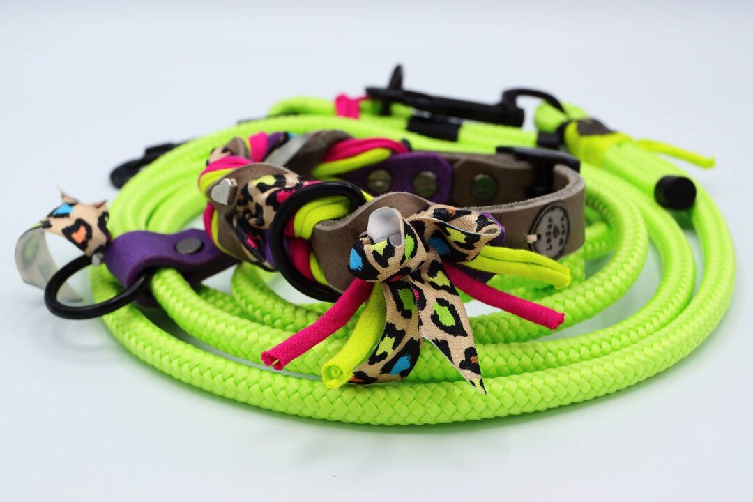 Braided Dog Collar & Leash Set Wildneon Etsy UK