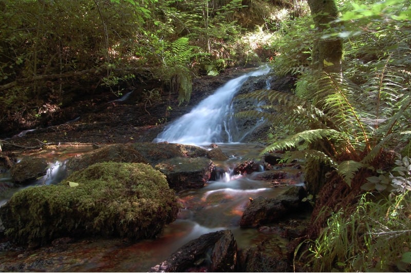 Riusseau en Flanc d'une Vallée de La Montagne Noire