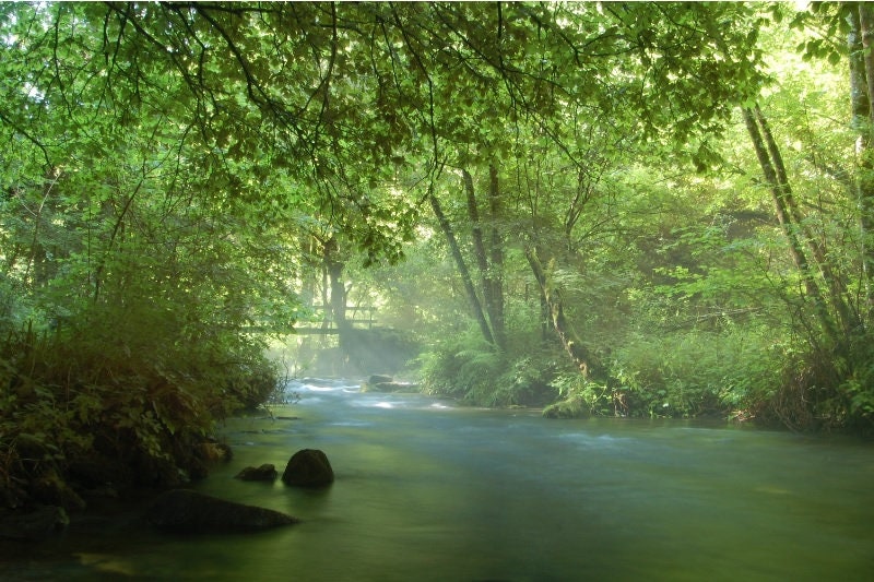 Pont sur Le Sor Dans Une Vallée de La Montagne Noire Pris Un Matin Juillet