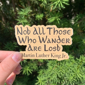 Bo Burnham Inside Sticker, White Woman’s Instagram
