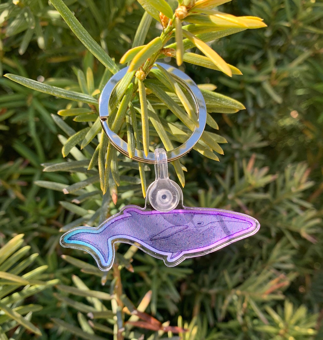 Colorful Whale Keychain for Ocean Lovers Etsy