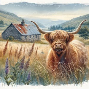 Highland Kuh PNG: Herbstkranz Design (Digitaler Download)