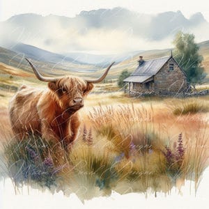 Highland Kuh PNG: Aquarell Kranz Schild, Herbst Design (Digitaler Download)