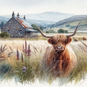 Highland Kuh PNG: Aquarell Herbst Design (Digitaler Download)