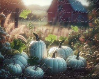 Pumpkins- Fall Clipart - PNG Digital Clipart - Scrapbooking - Sublimation - Transparent Background