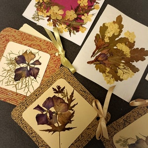 Conjunto de cartões florais de 6 cartões artesanais flores prensadas arte oshibana flores naturais cartões de felicitações
