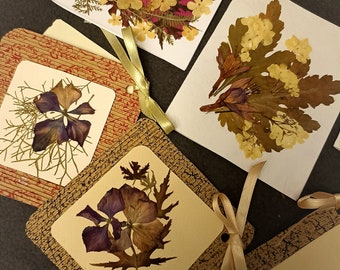 Juego de 6 tarjetas de felicitación florales hechas a mano con flores prensadas, arte oshibana, tarjetas de felicitación con flores naturales