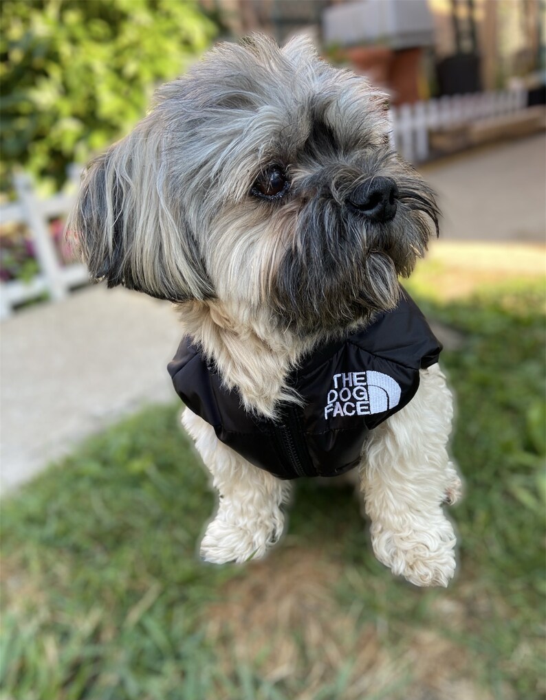 The Dog Face Puffer Vest Dog Clothing Etsy