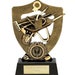 see more listings in the Budget Trophies/ Awards section