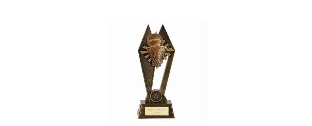 Netball Award Trophy - Personalised Engraving - Customize Insert - Etsy