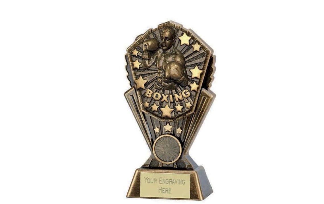 Boxing Abstract Trophy Boxing Award Trophy - Personalised Engraving - Customize Insert - Etsy