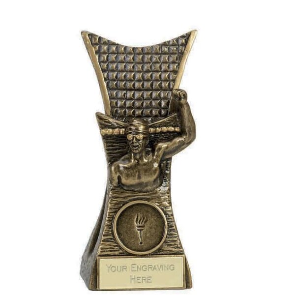 Swimmer Male Award Trophy- Personalised engraving - Customise insert