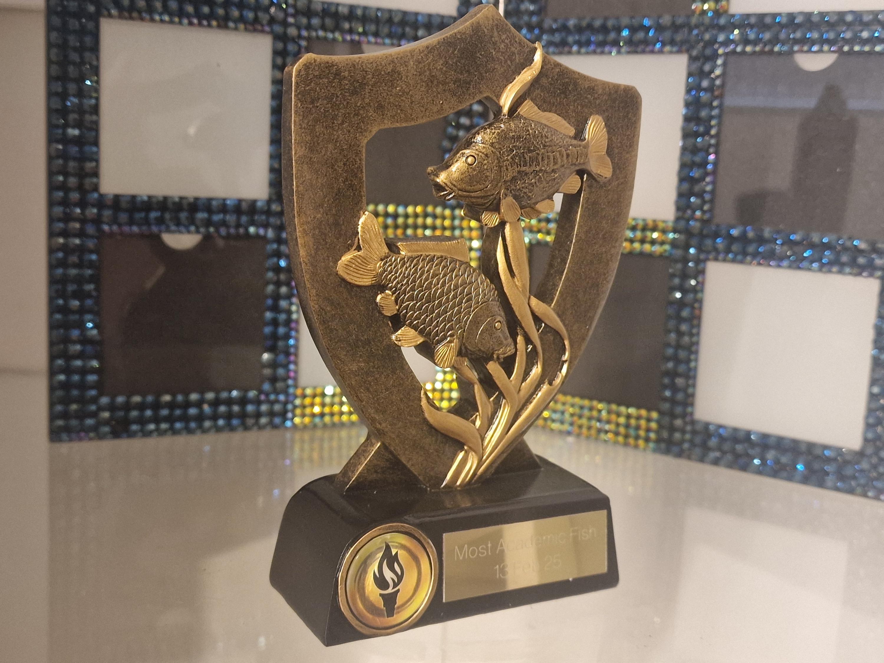 Romphy Fish Engraved Trophy Fish Plaques, Personalized Fishing Trophy Plaque Award ...
