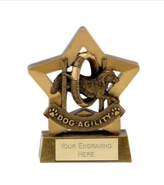 Trofeo A Forma Di Zampa Per Cani E Gatti - Personalizzabile, Base In Marmo Nero - Foto 12