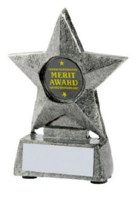 Migliore premio stella vincitore - Icone Sport e Giochi Migliore premio stella vincitore - Icone Sport e Giochi