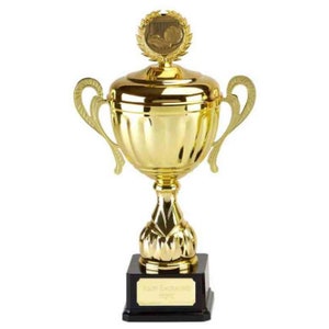 Trophy Cup Gold Metal - Personalised Engraving