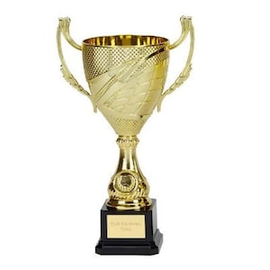 Trophy Cup - Silver and Gold Cup - Personalized Engraving - Customise insert