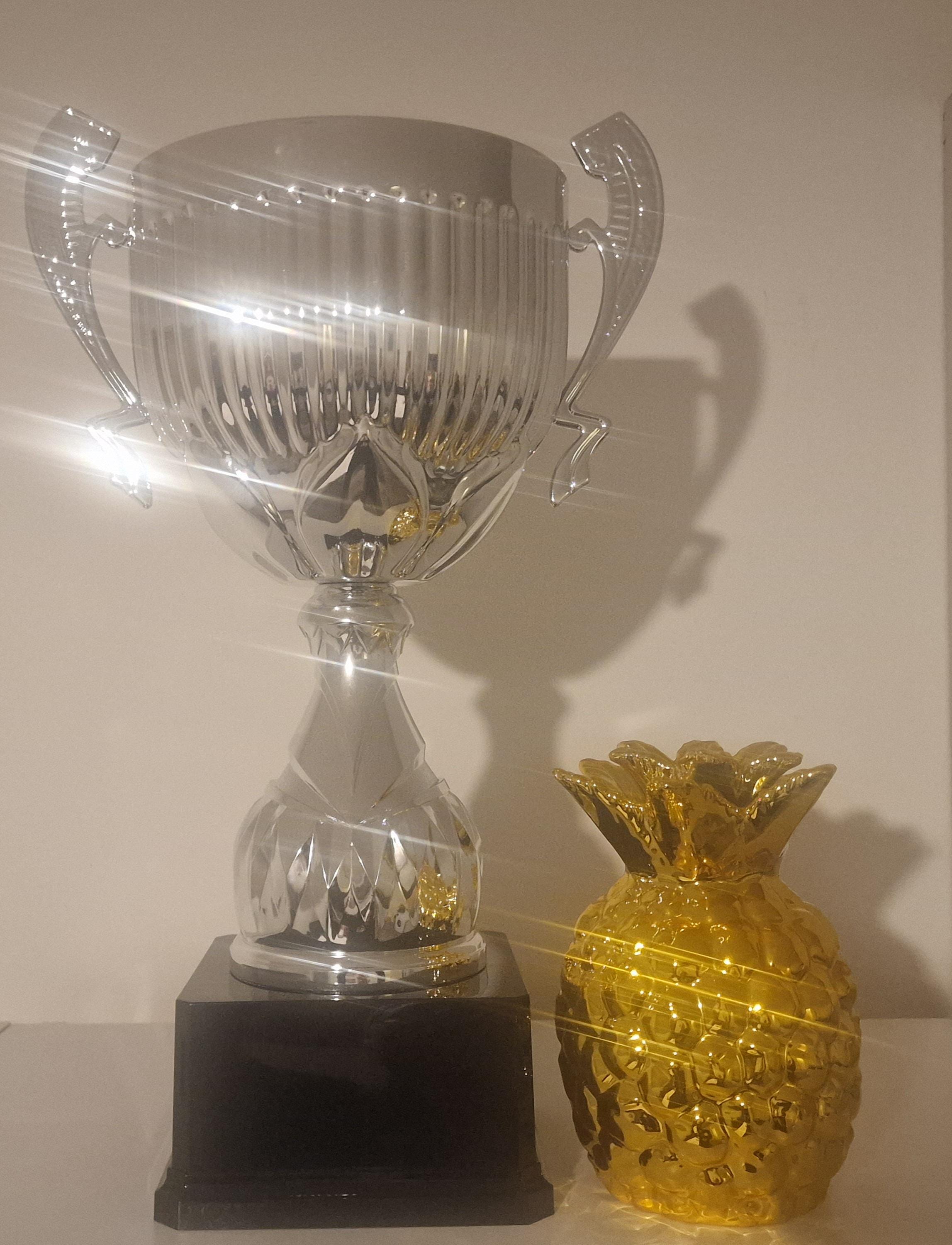Coupe Trophée Argent Avec GRAVURE GRATUITE - Pour Toutes Compétitions Sportives