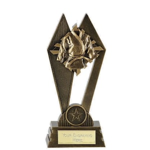 Op de afbeelding: Een gouden trofee met een ster op de basis en een ontwerp van een karatepak op de bovenkant. De basis heeft de tekst "Your Engraving Here".