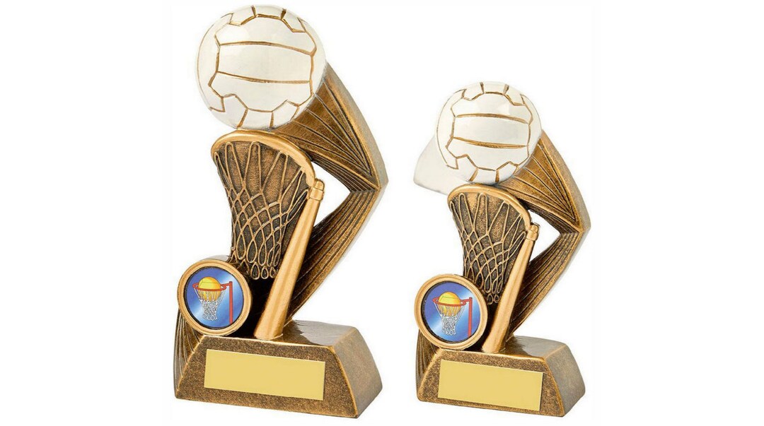 Netball Award Trophy - Personalized Engraving - Custom Insert - Etsy