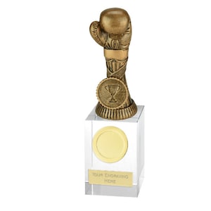 Boxing glove Award Trophy - Personalized Engraving - Custom Inserts