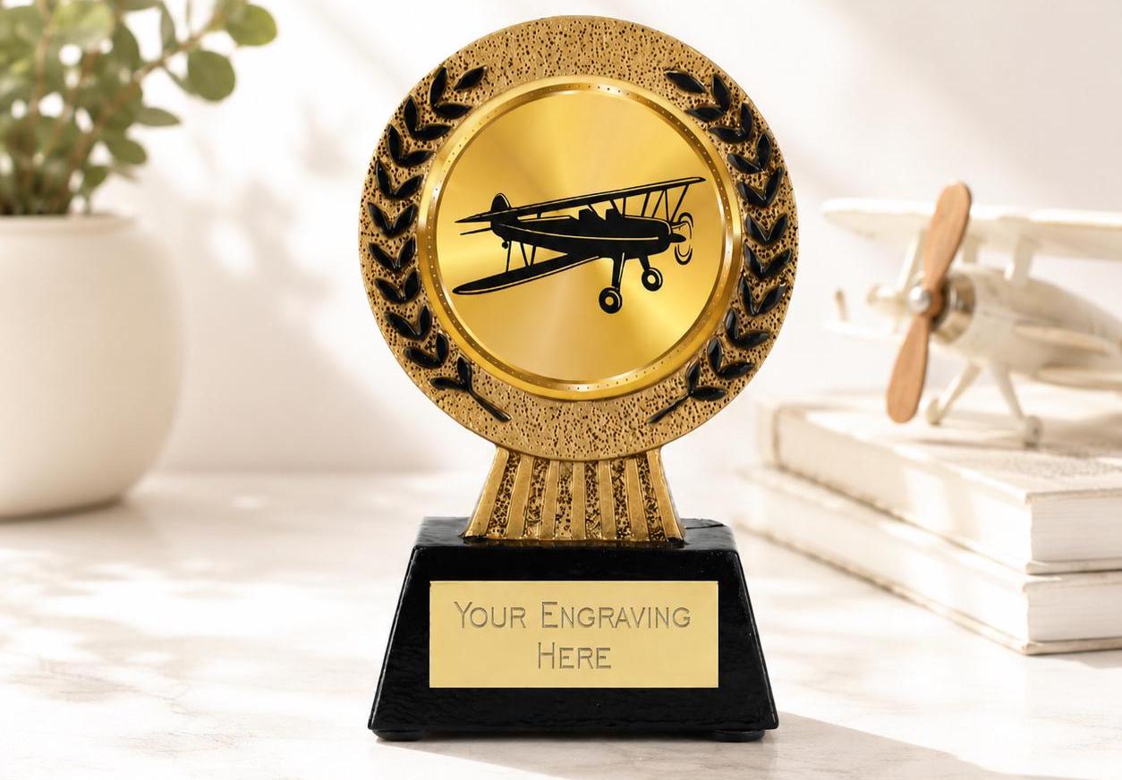 Plane Trophy Award – Aviation Pilot Achievement Prize (resin) - Etsy
