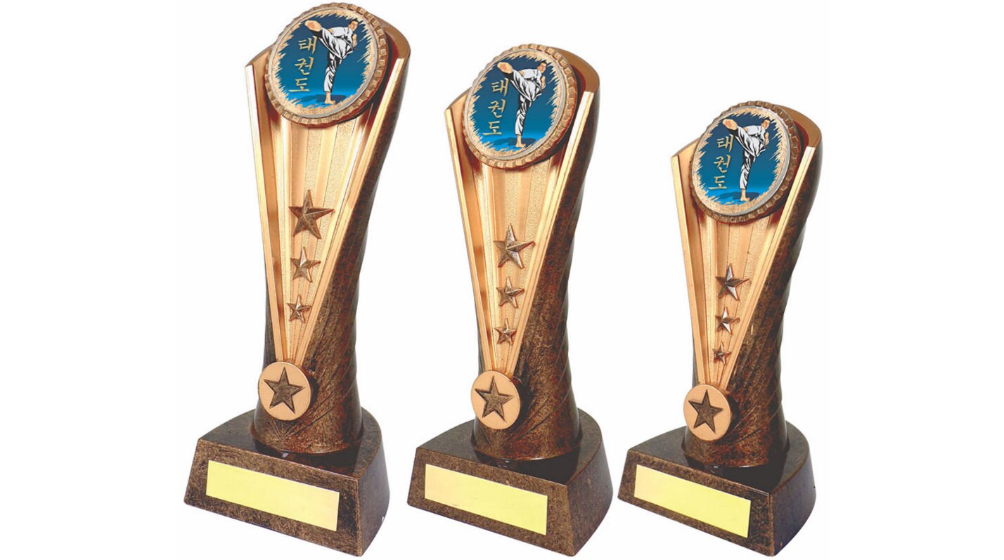 Trofeo in vetro arti marziali premio judo karate 3 taglie vetro