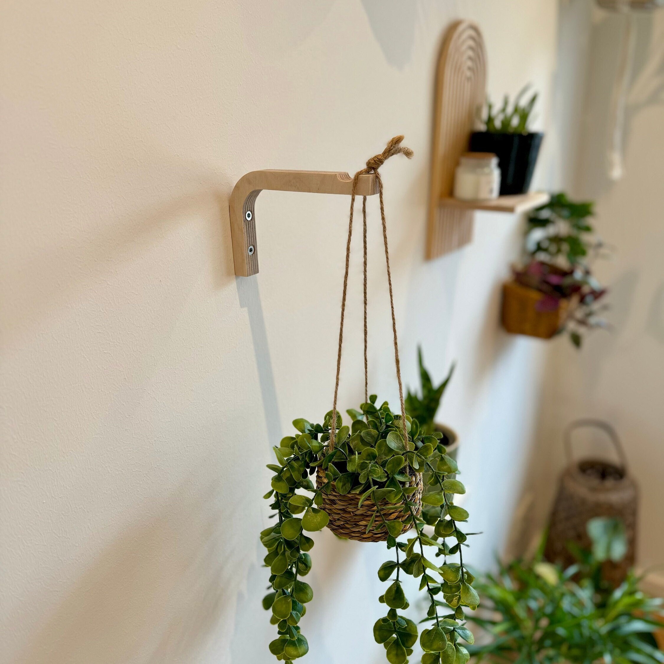 Gancho de planta España