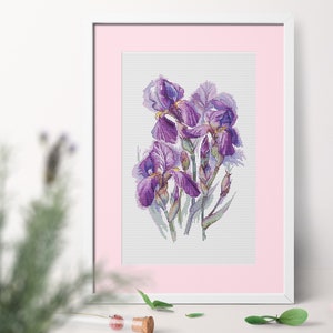 Patrón PDF de Iris de acuarela para bordado en punto de cruz, ramo de flores, verano y primavera. Descarga digital instantánea.