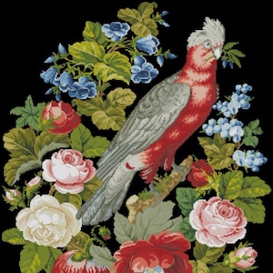 Parrot Rose PDF Antique Pattern Cross Stitch Embroidery Bird Flower Instant Digital Download
