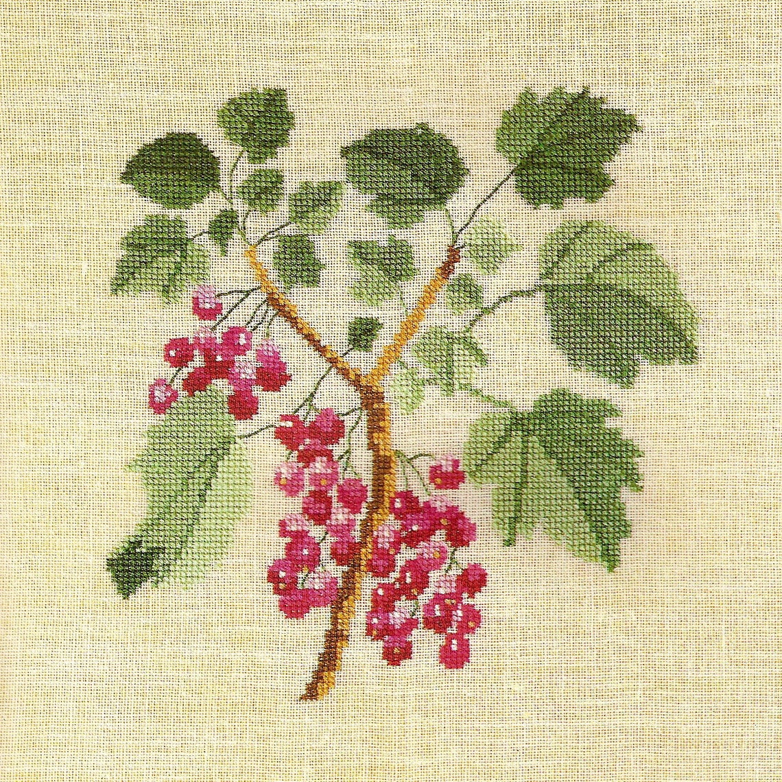 12 PDF Vintage Pattern Berries Cross Stitch Embroidery Instant Etsy