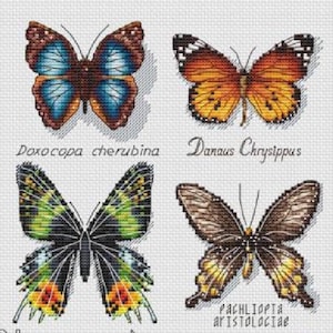 Butterfly Sampler Insect Pattern PDF Cross Stitch Embroidery Lkacross ...