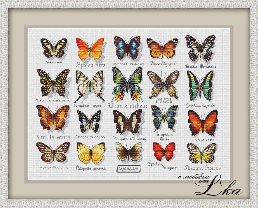 Butterfly Sampler Insect Pattern PDF Cross Stitch Embroidery Lkacross ...