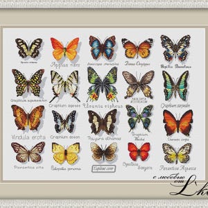 Butterfly Sampler Insect Pattern PDF Cross Stitch Embroidery Lkacross Instant Digital Download