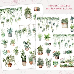 Succulent Aesthetic - Etsy