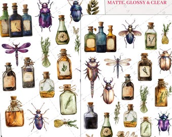 Fantasy Enchanted Magical Magic Potion, Spells, Beetles, Whimsical Witchy Decorative Aesthetic Journal Scrapbook Planner Sticker Sheet