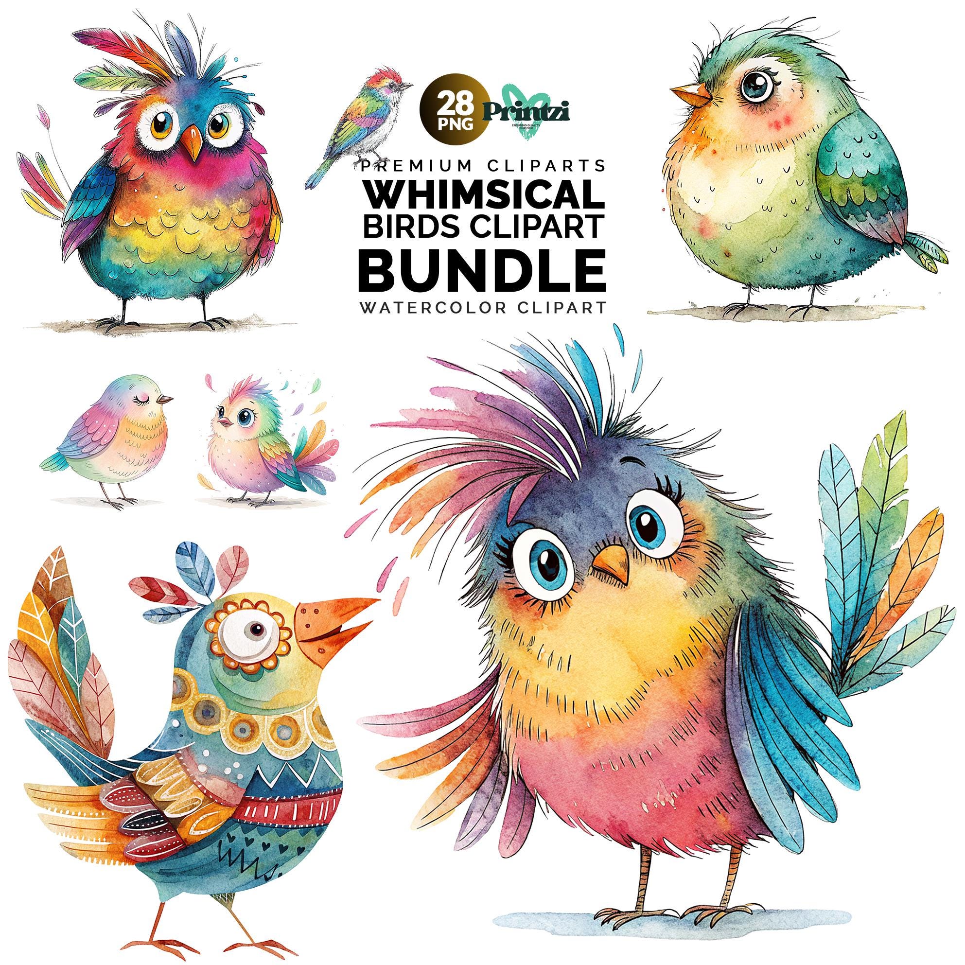 Pájaro gruñón clipart - Etsy México, image size:1985x1985