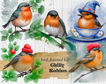 Christmas bird themed digital paper kit with fussy cuts, journal pages and ephemera!