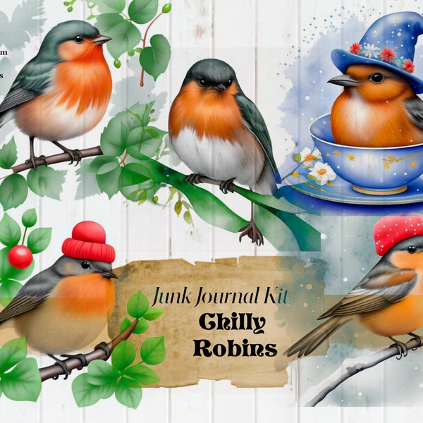 Christmas bird themed digital paper kit with fussy cuts, journal pages and ephemera!